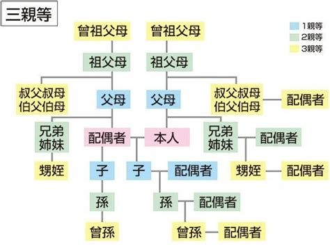 三等親有哪些|1